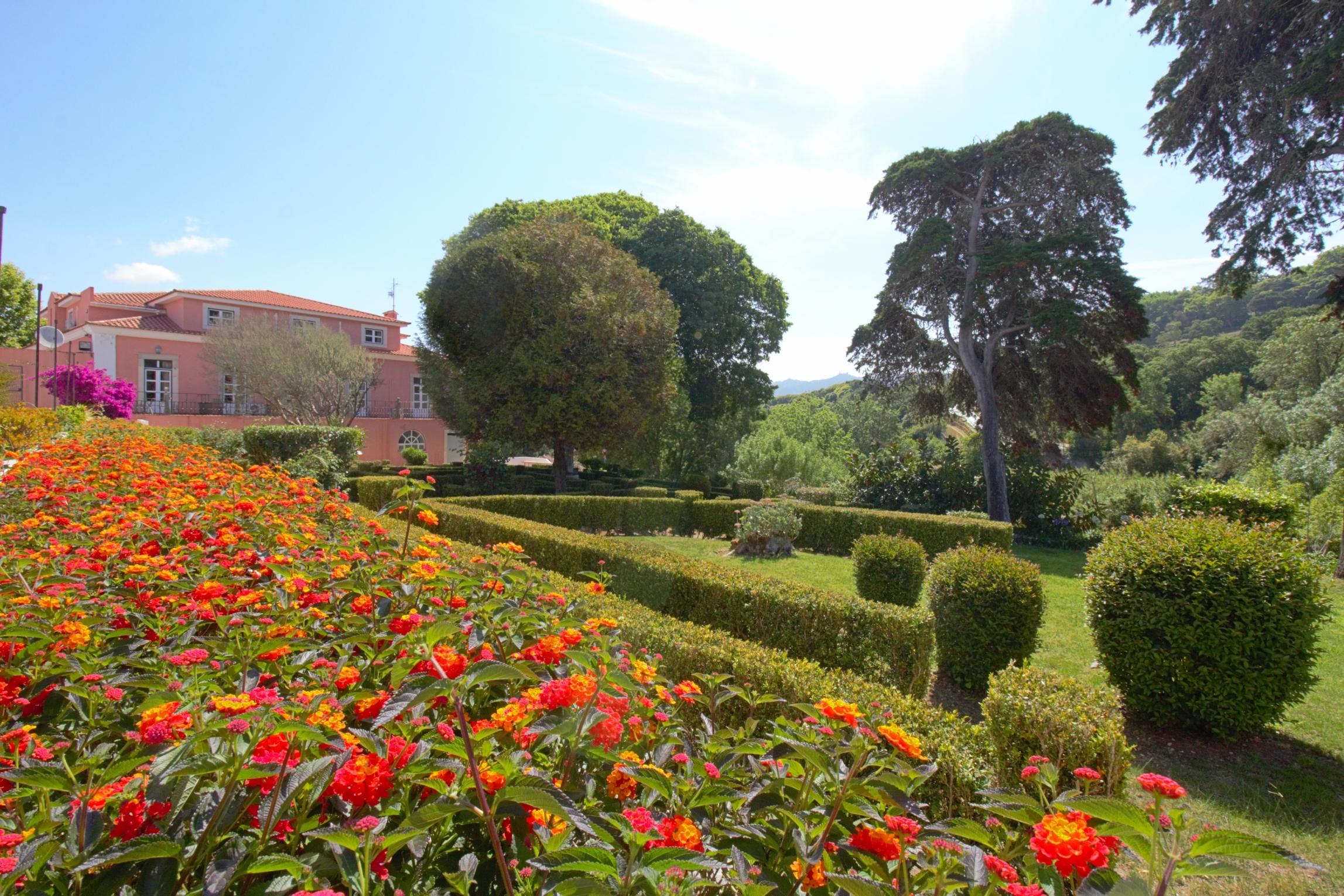 Wot Sintra Sarrazola Hotel Colares Exterior photo