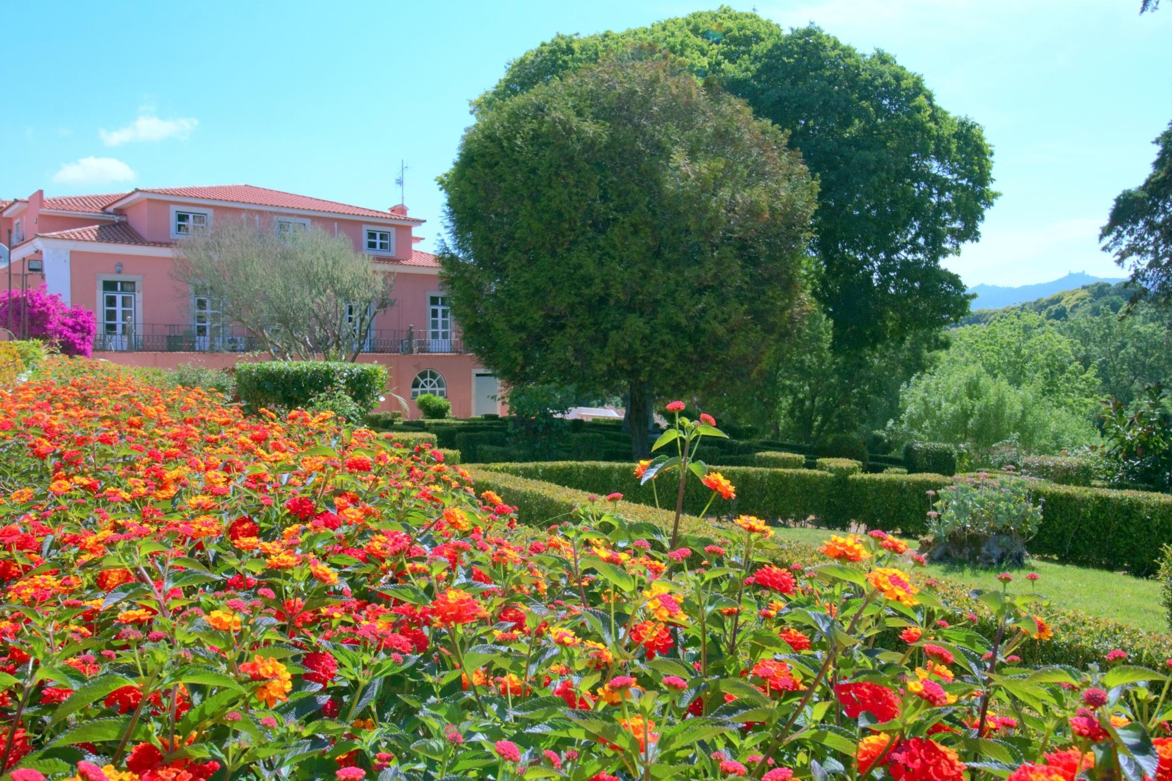 Wot Sintra Sarrazola Hotel Colares Exterior photo